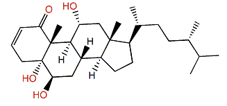 Stoloniferone K